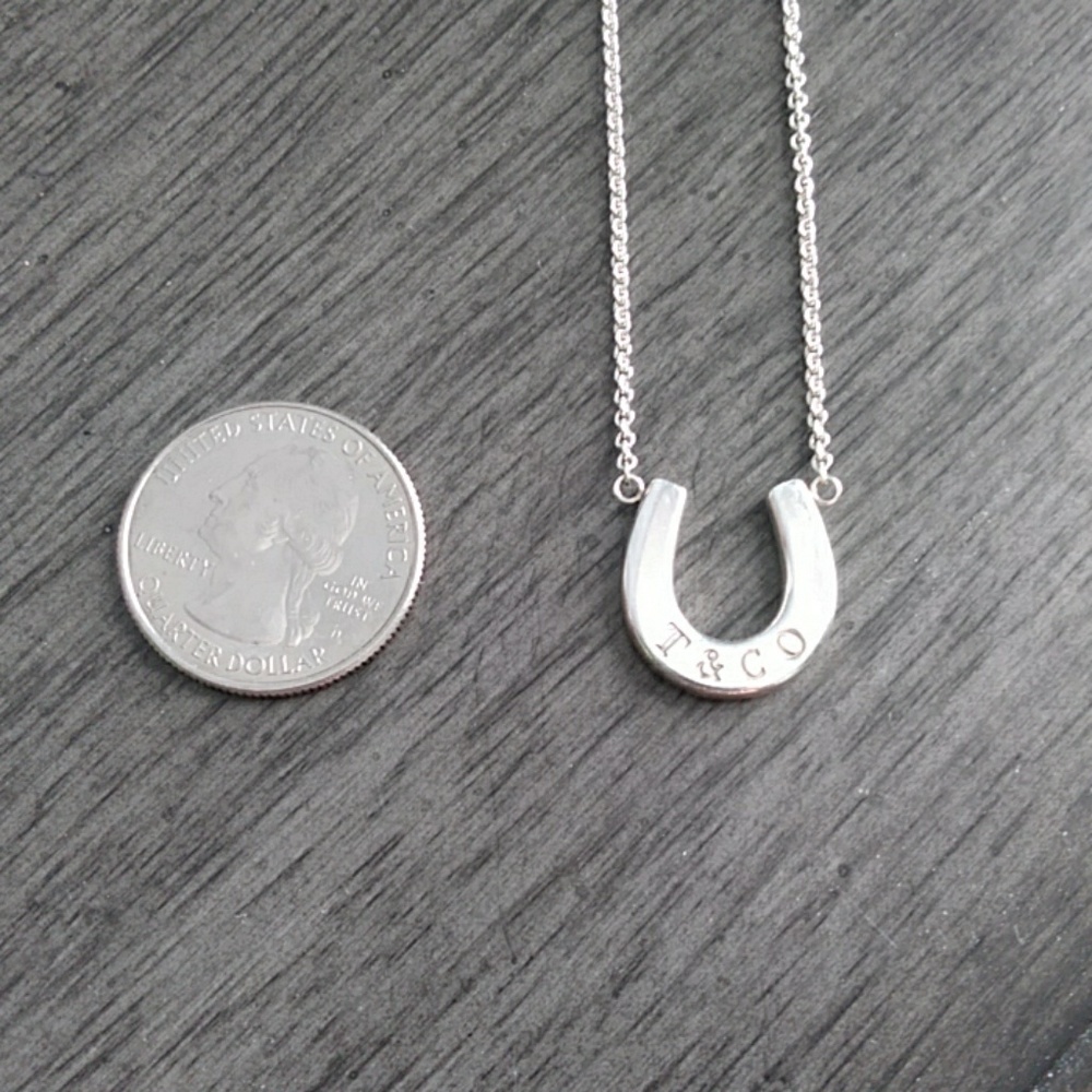Tiffany Horseshoe necklace